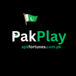 PakPlay Game