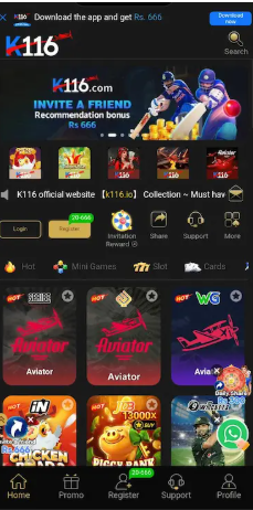 K166 Game